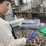 Erasmus 2023 - Gourmand Középiskola