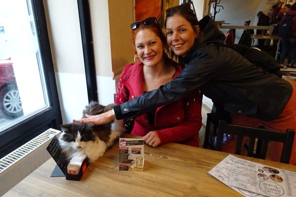 Szabadkai tanárnők